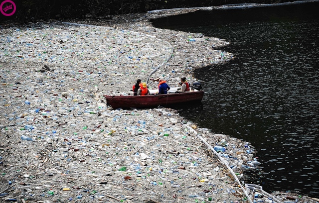 Voluntários tentam limpar uma represa que está cheia de garrafas de plástico descartadas e outros tipos de lixo, bloqueando a barragem Vacha, perto da cidade de Krichim em 25 de abril de 2009. AFP PHOTO / DIMITAR DILKOFF
